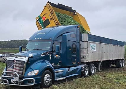 Blue semi truck receives green crop from yellow harvester, ideal for Bulk Raw Produce Hauling.