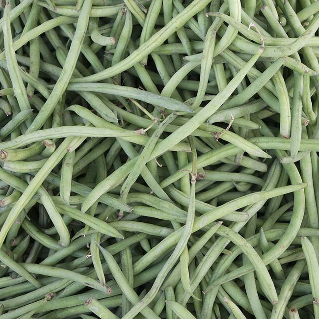 A pile of fresh green beans closely stacked together, like crates at Plainfield Trucking About Us.
